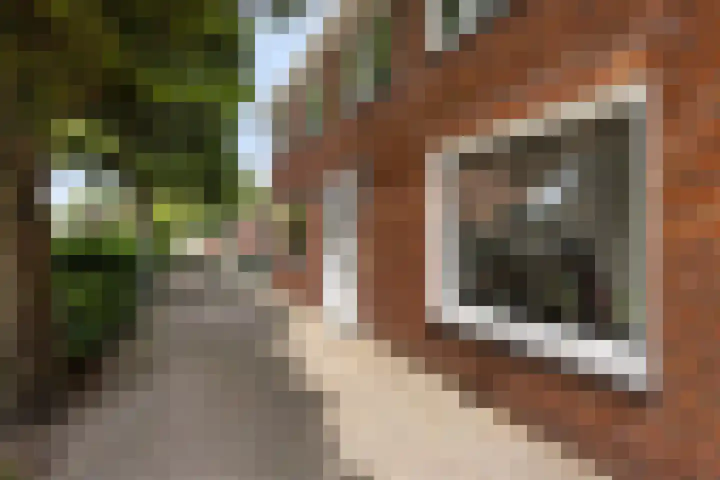 Jan Oldenburgerstraat E 62 Nieuwe Pekela thumbnail 7