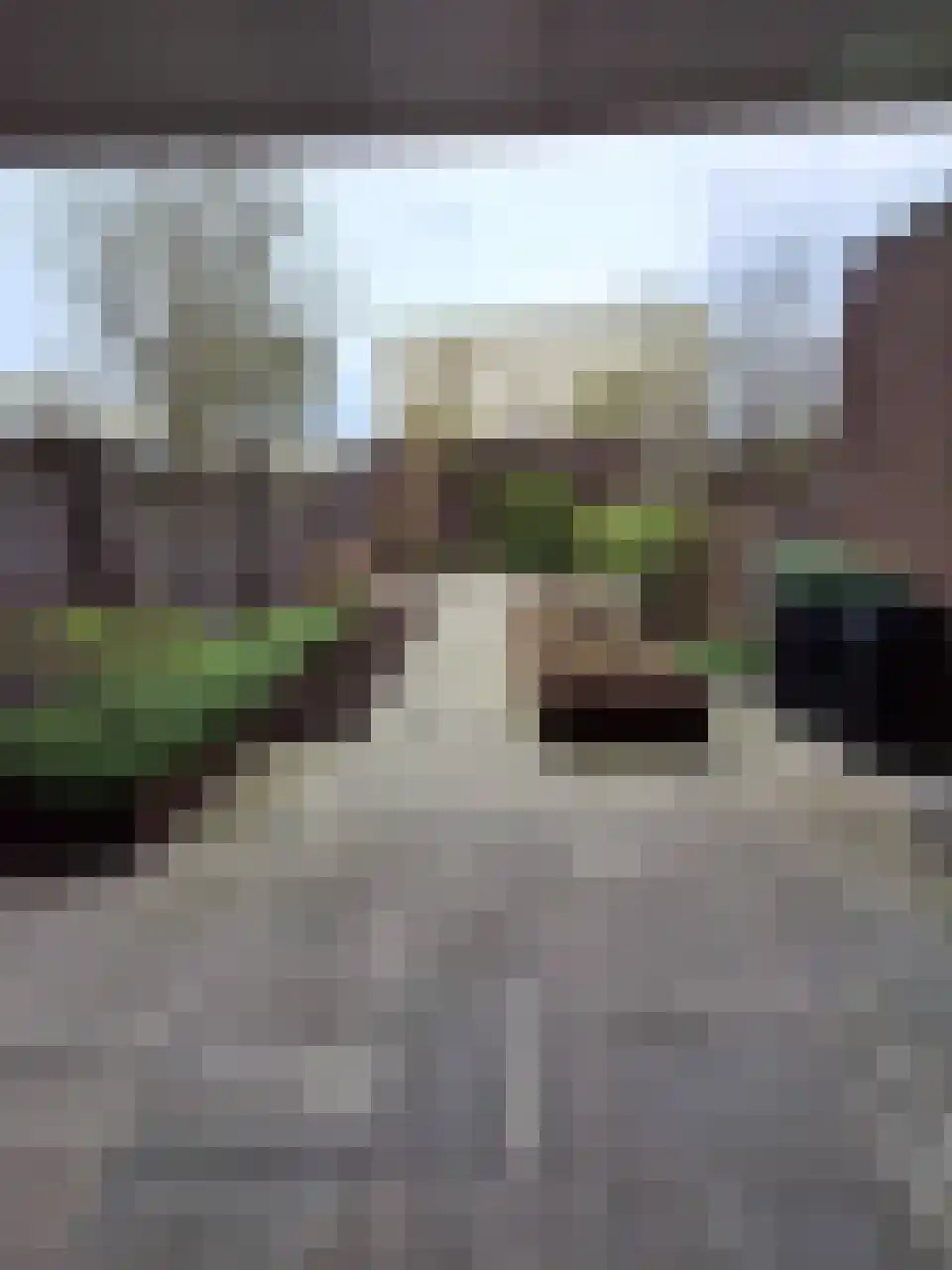 Jan Oliemeulenstraat 13 Schaijk thumbnail 10