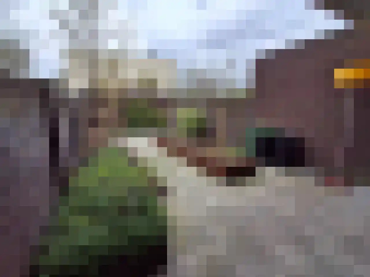 Jan Oliemeulenstraat 13 Schaijk thumbnail 18