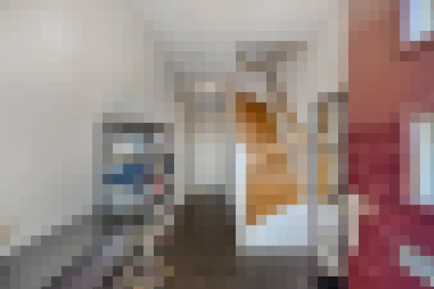 Jan Oliemeulenstraat 13 Schaijk thumbnail 4