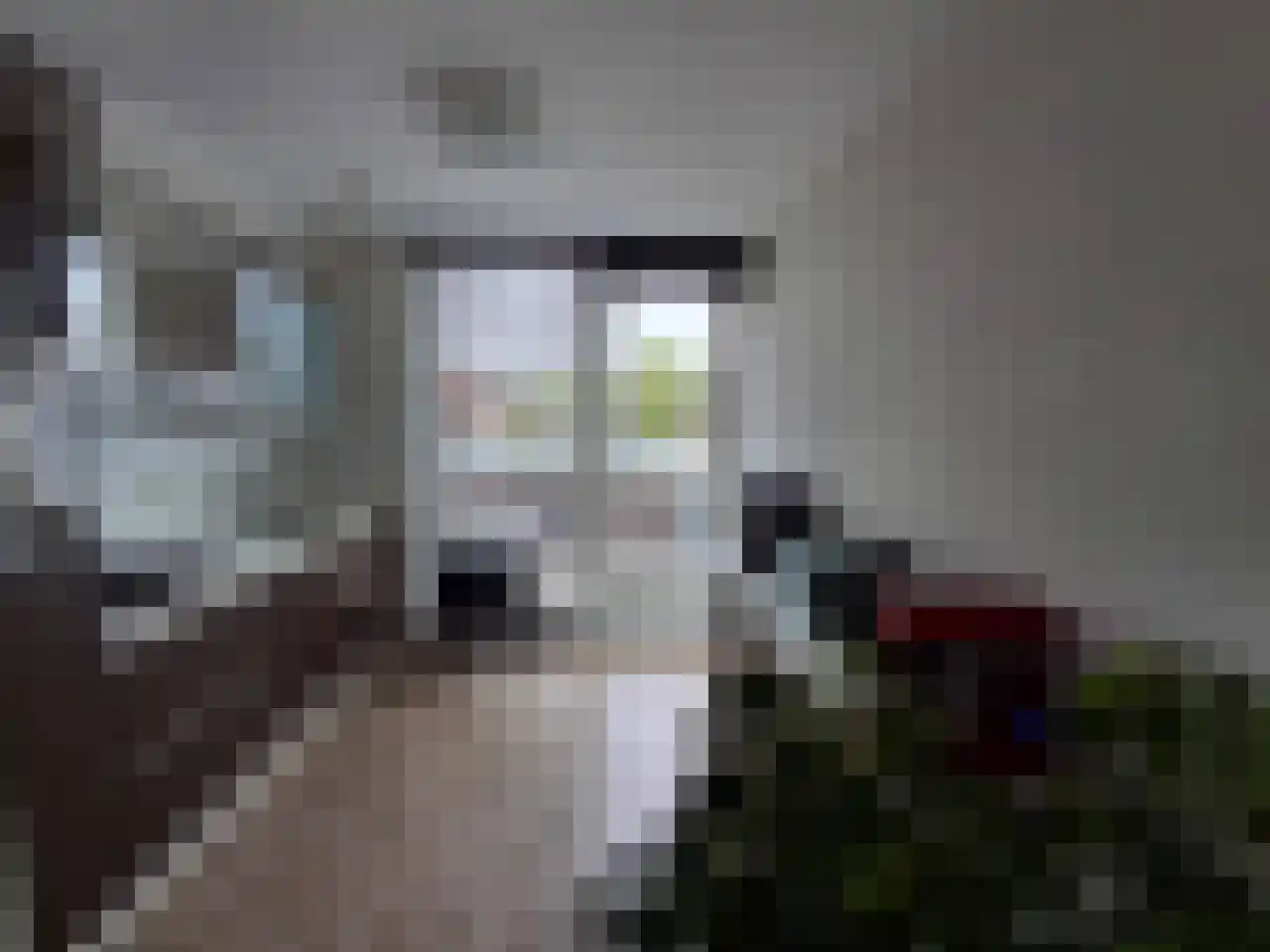 Jan Oliemeulenstraat 13 Schaijk thumbnail 5