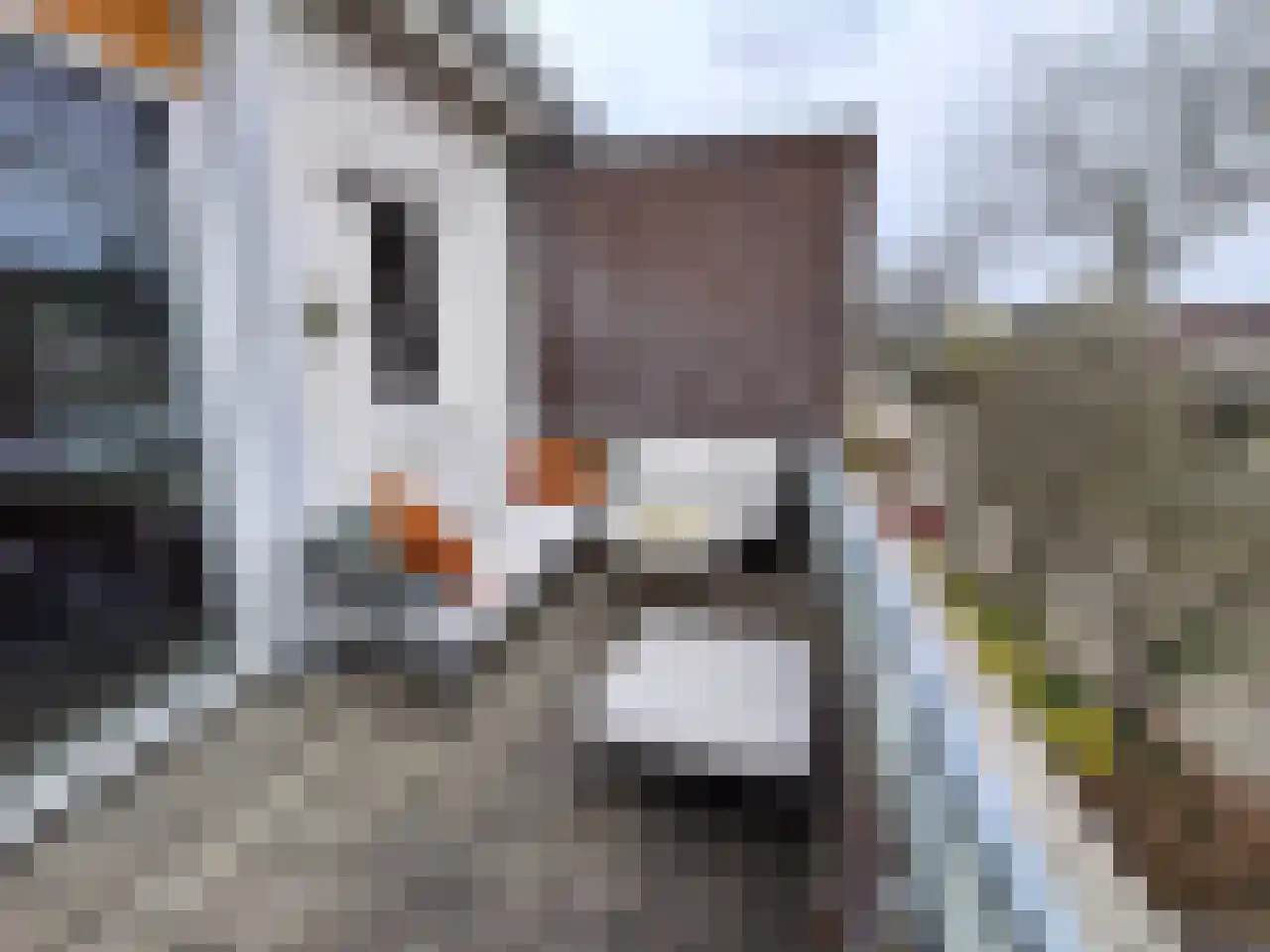 Jan Oliemeulenstraat 13 Schaijk thumbnail 6
