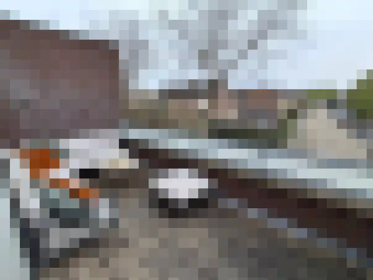 Jan Oliemeulenstraat 13 Schaijk thumbnail 7