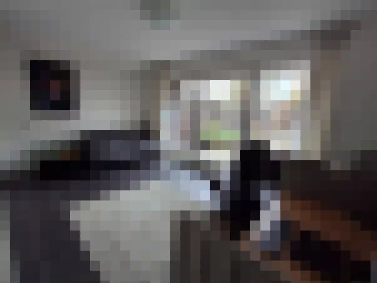 Jan Oliemeulenstraat 13 Schaijk thumbnail 9