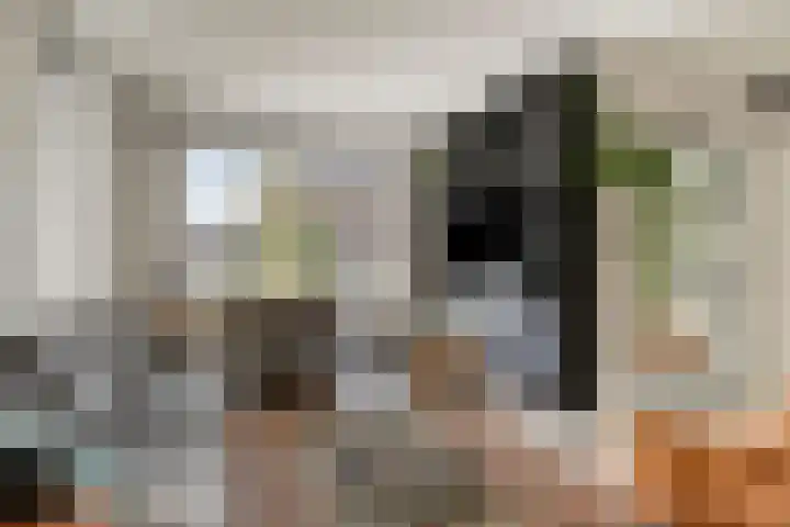 Jan Oliemeulenstraat 19 Schaijk thumbnail 10