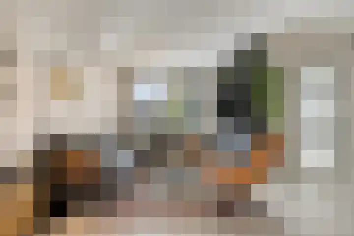 Jan Oliemeulenstraat 19 Schaijk thumbnail 9