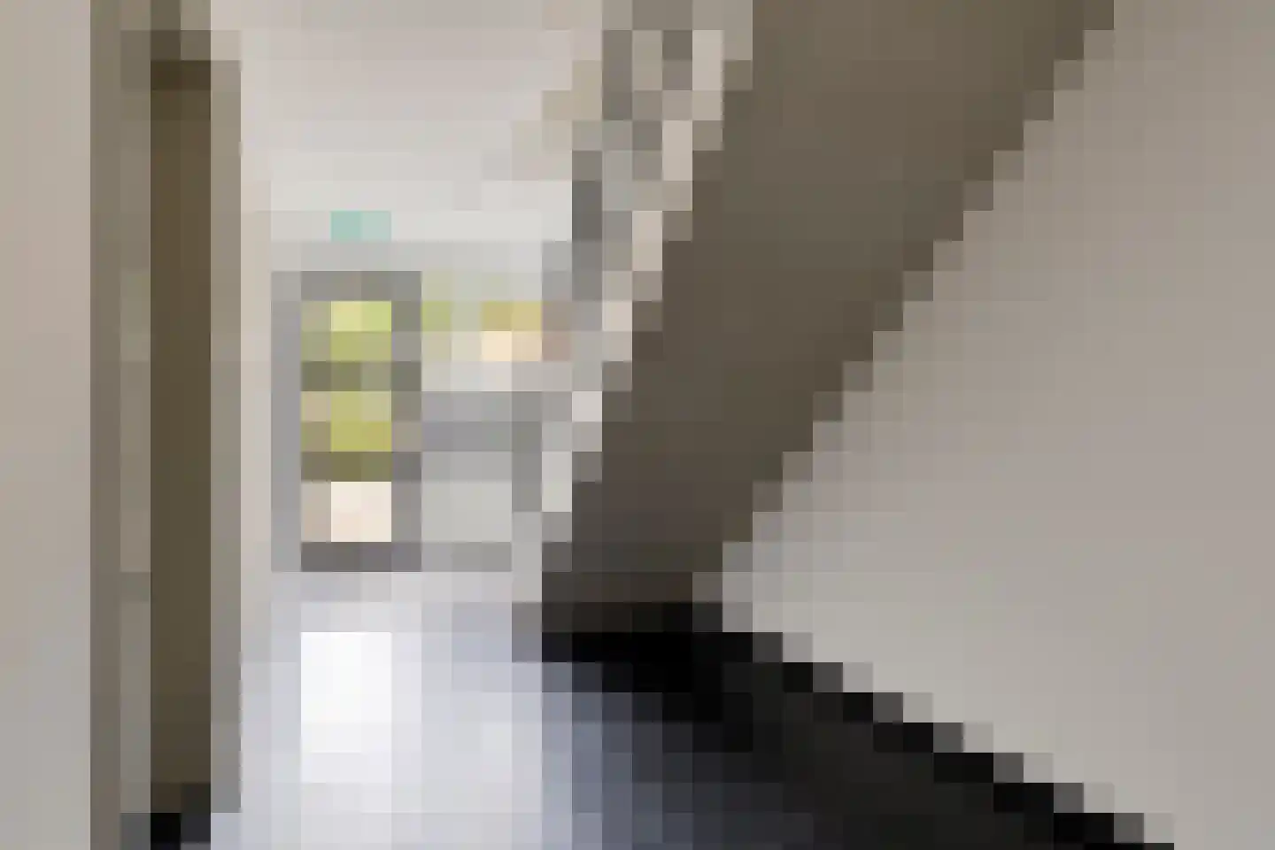 Jan Oliemeulenstraat 2 b Schaijk thumbnail 20
