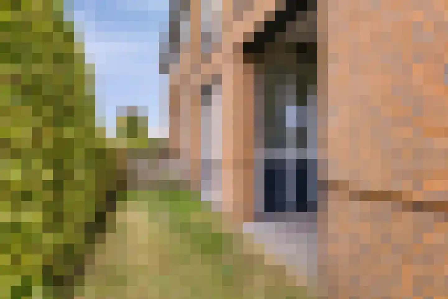 Jan Oliemeulenstraat 2 b Schaijk thumbnail 24