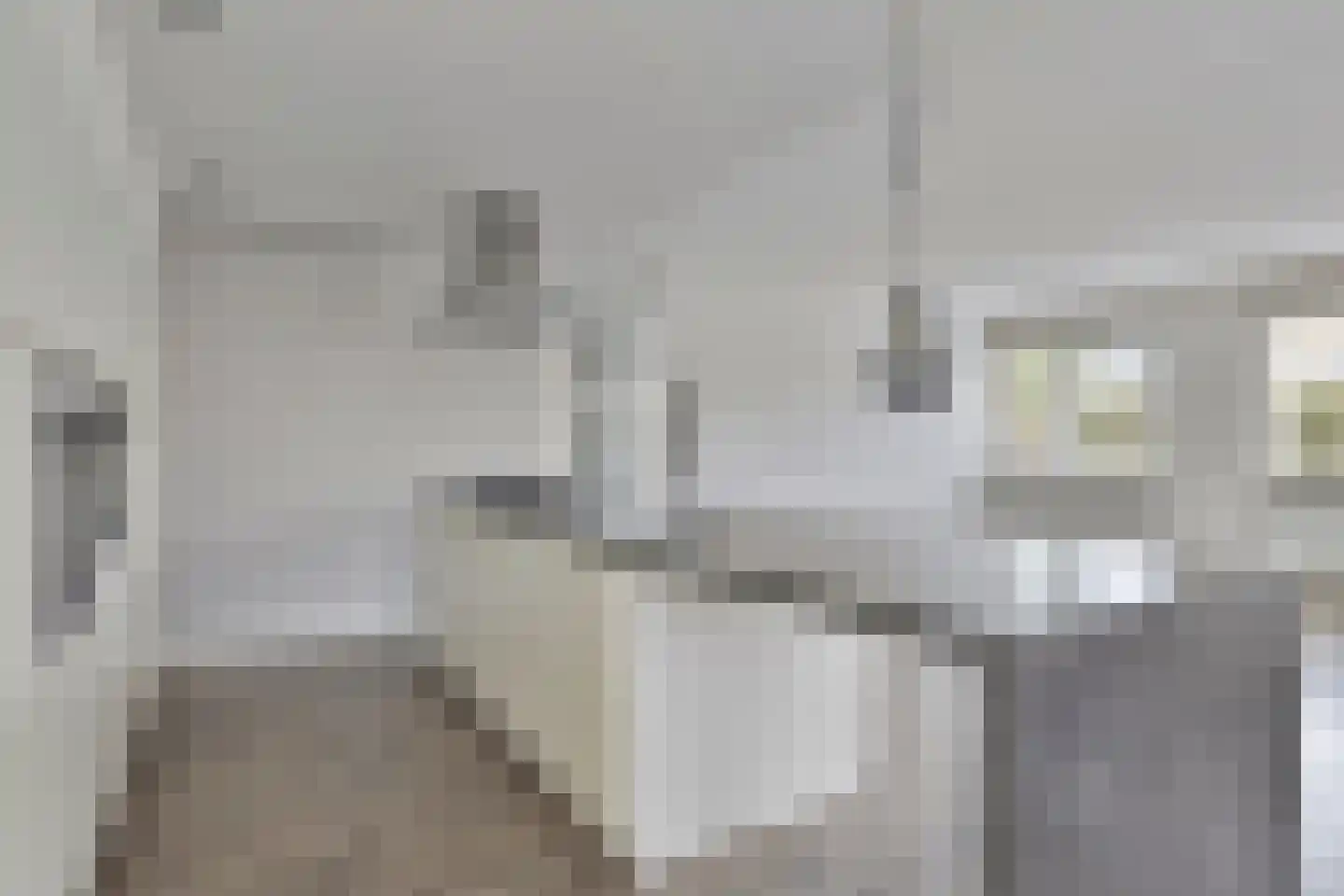 Jan Oliemeulenstraat 2 b Schaijk thumbnail 7