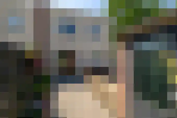 Jan Olierookstraat 65 Poeldijk thumbnail 18