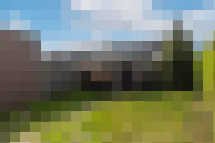 Jan Olieslagersstraat 13 Helmond thumbnail 33