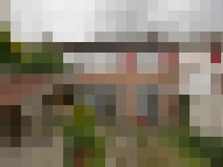 Jan Olieslagersstraat 41 Helmond thumbnail 16