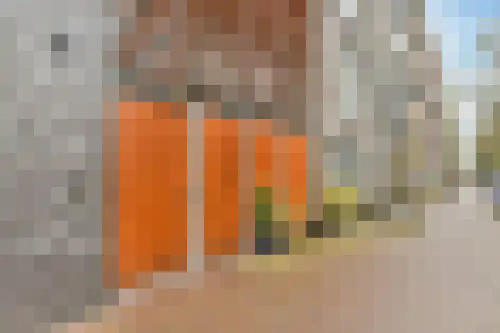 Jan Olphert Vaillantlaan 101 Amsterdam thumbnail 11