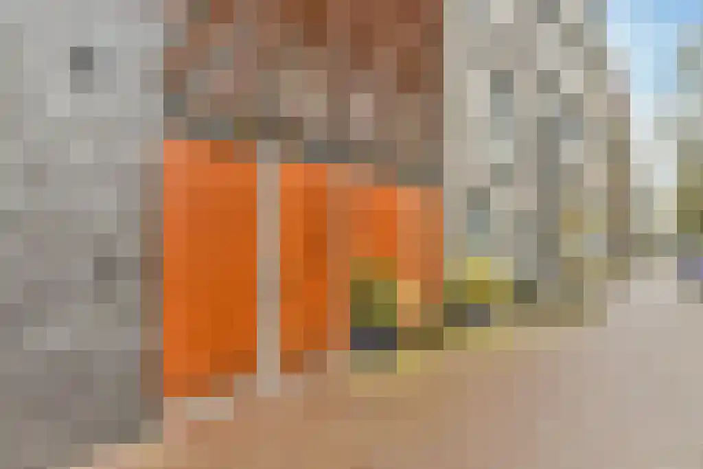 Jan Olphert Vaillantlaan 101 Amsterdam thumbnail 5