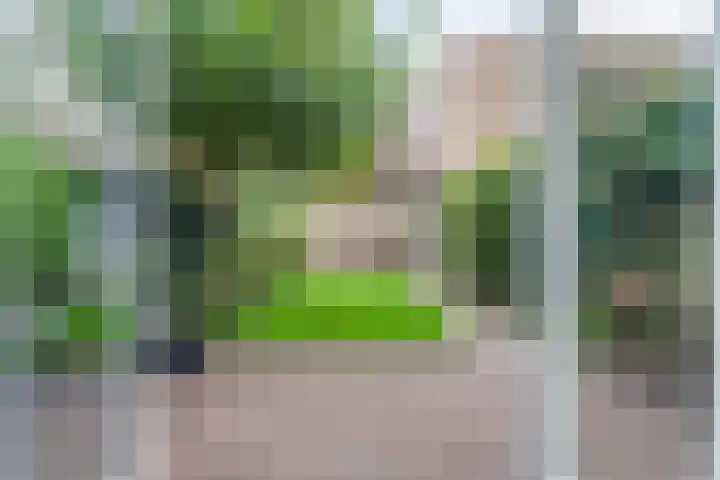 Jan Olphert Vaillantlaan 36 Amsterdam thumbnail 10