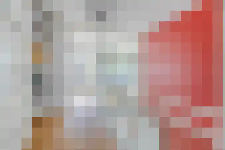 Jan Olphert Vaillantlaan 36 Amsterdam thumbnail 13
