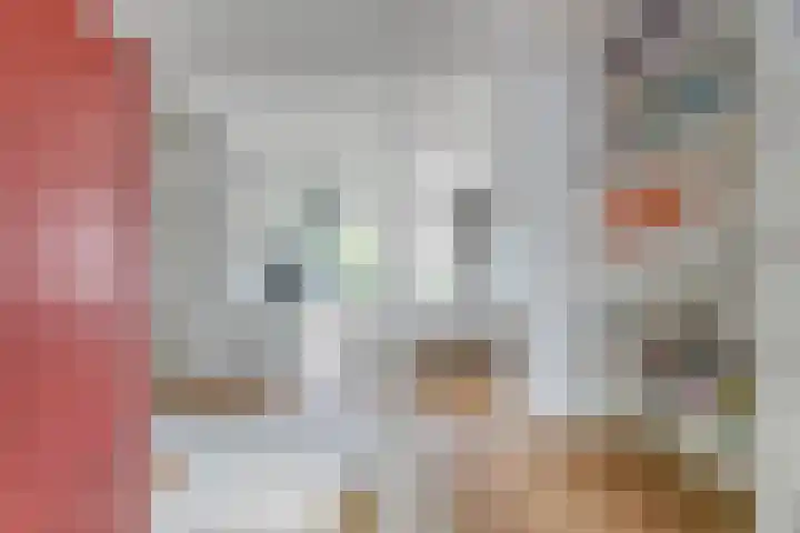 Jan Olphert Vaillantlaan 36 Amsterdam thumbnail 14