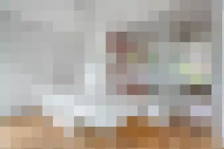 Jan Olphert Vaillantlaan 36 Amsterdam thumbnail 16