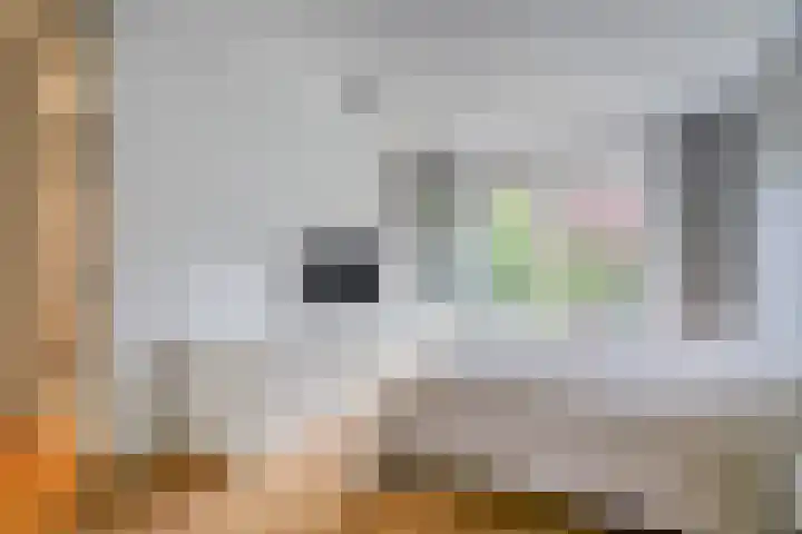 Jan Olphert Vaillantlaan 36 Amsterdam thumbnail 19