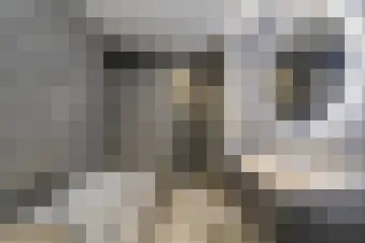 Jan Olphert Vaillantlaan 36 Amsterdam thumbnail 21