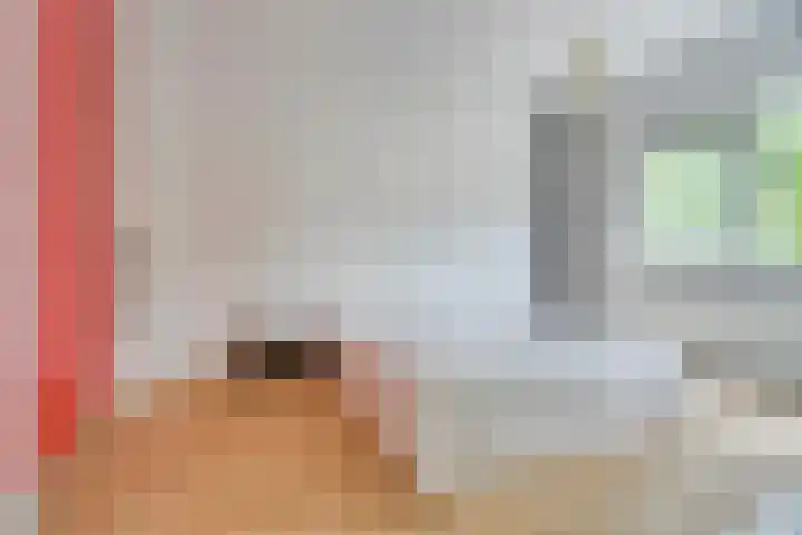 Jan Olphert Vaillantlaan 36 Amsterdam thumbnail 31