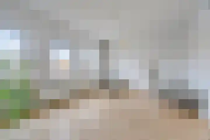 Jan Olphert Vaillantlaan 36 Amsterdam thumbnail 34