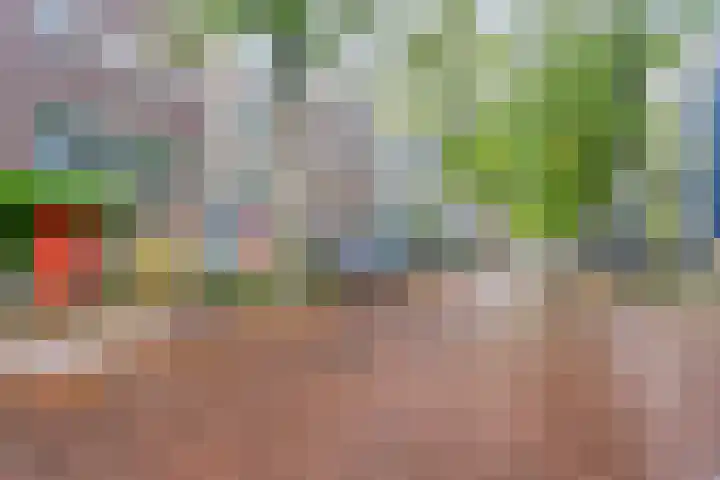 Jan Olphert Vaillantlaan 36 Amsterdam thumbnail 36