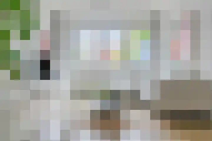 Jan Olphert Vaillantlaan 36 Amsterdam thumbnail 5