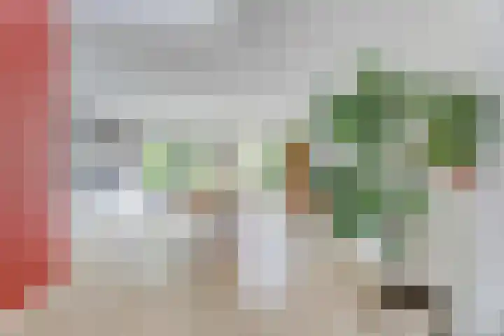Jan Olphert Vaillantlaan 36 Amsterdam thumbnail 6