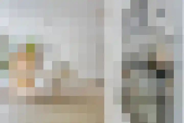 Jan Olphert Vaillantlaan 36 Amsterdam thumbnail 9
