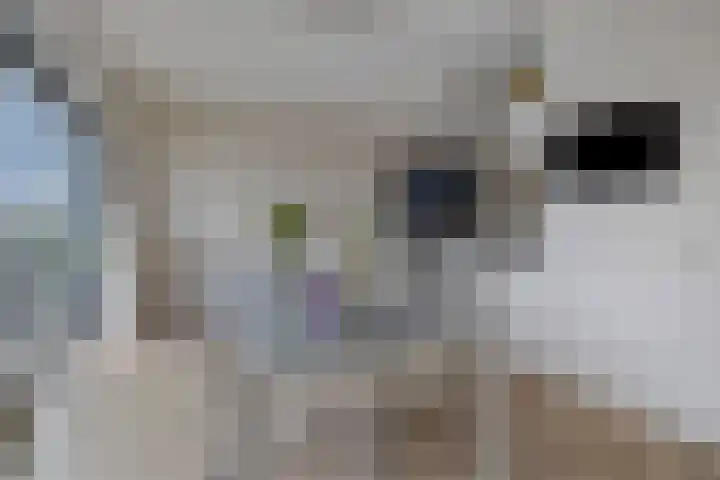 Jan Olphert Vaillantlaan 38 A Amsterdam thumbnail 18