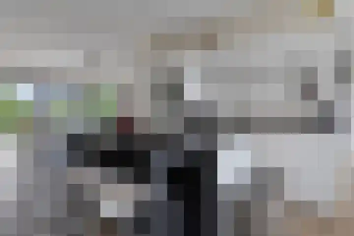 Jan Olphert Vaillantlaan 38 A Amsterdam thumbnail 21