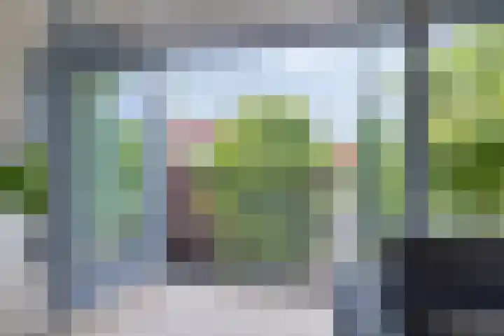 Jan Olphert Vaillantlaan 38 A Amsterdam thumbnail 24