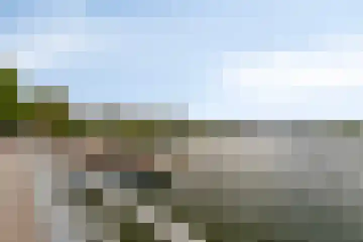 Jan Olphert Vaillantlaan 38 A Amsterdam thumbnail 34