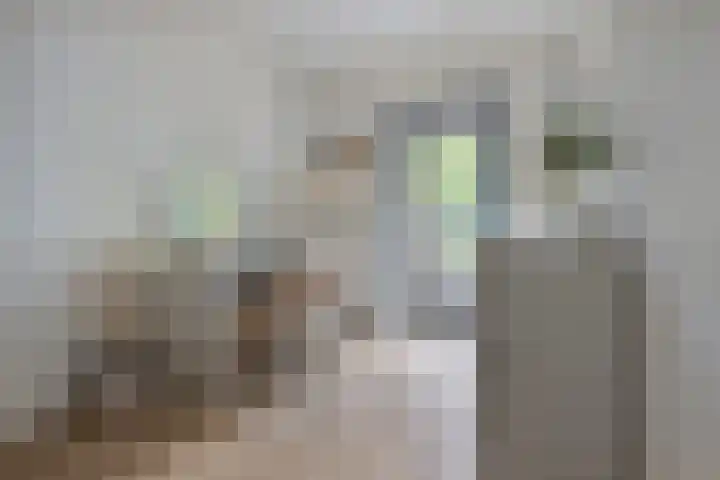Jan Olphert Vaillantlaan 38 A Amsterdam thumbnail 8