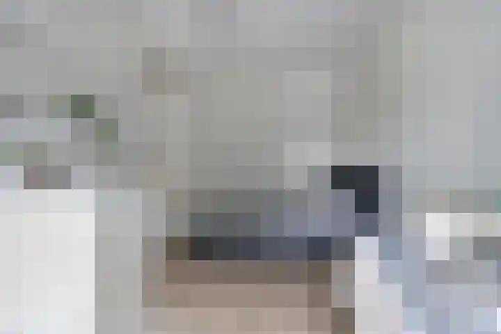 Jan Olphert Vaillantlaan 38 A Amsterdam thumbnail 9