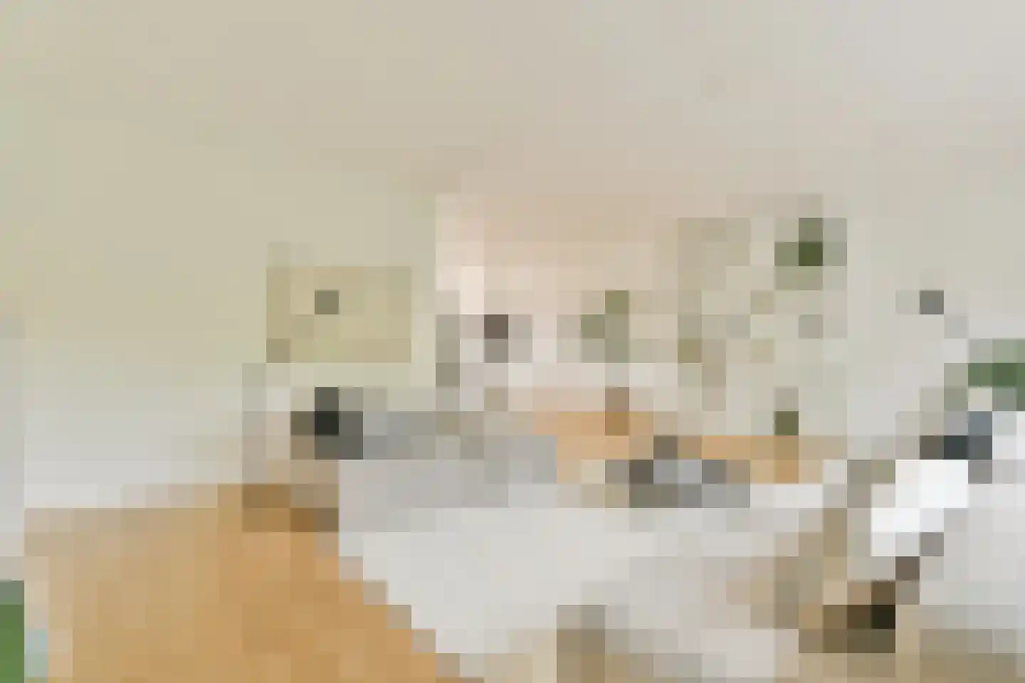Jan Olphert Vaillantlaan 42 A Amsterdam thumbnail 10