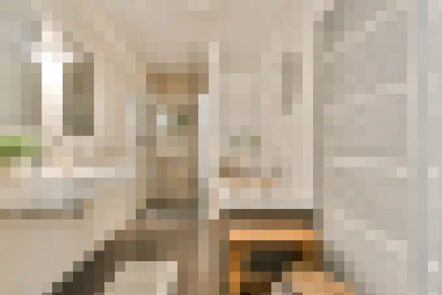 Jan Olphert Vaillantlaan 42 A Amsterdam thumbnail 22