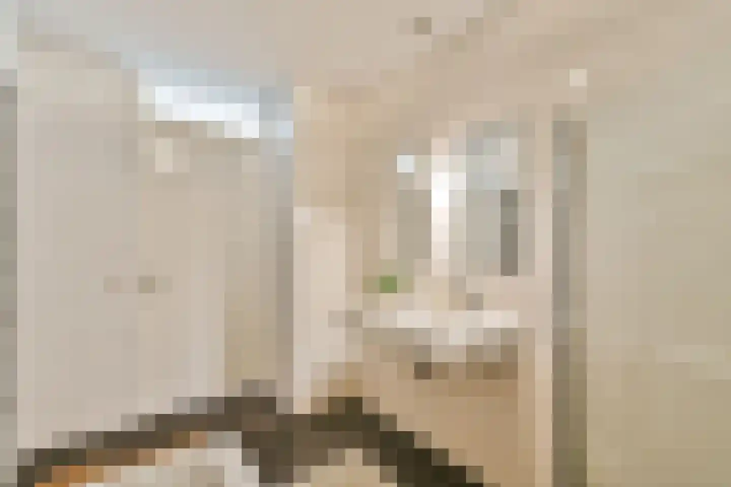 Jan Olphert Vaillantlaan 42 A Amsterdam thumbnail 24