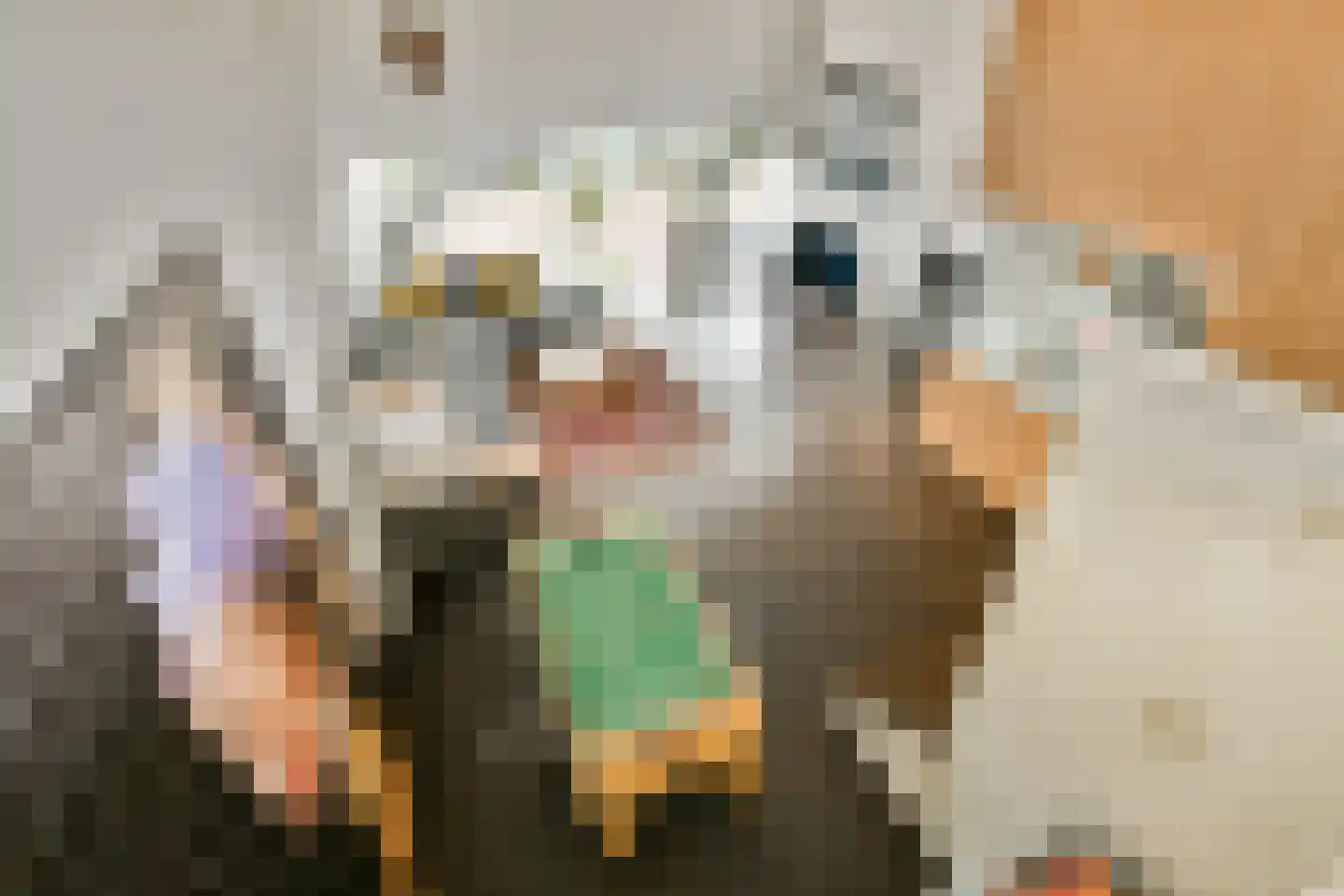Jan Olphert Vaillantlaan 43 Amsterdam thumbnail 18