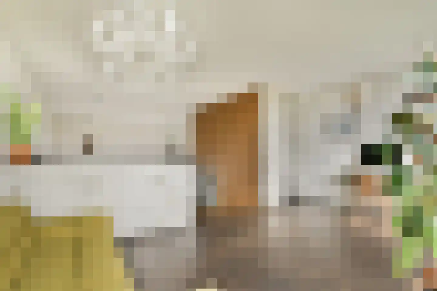 Jan Olphert Vaillantlaan 43 Amsterdam thumbnail 21