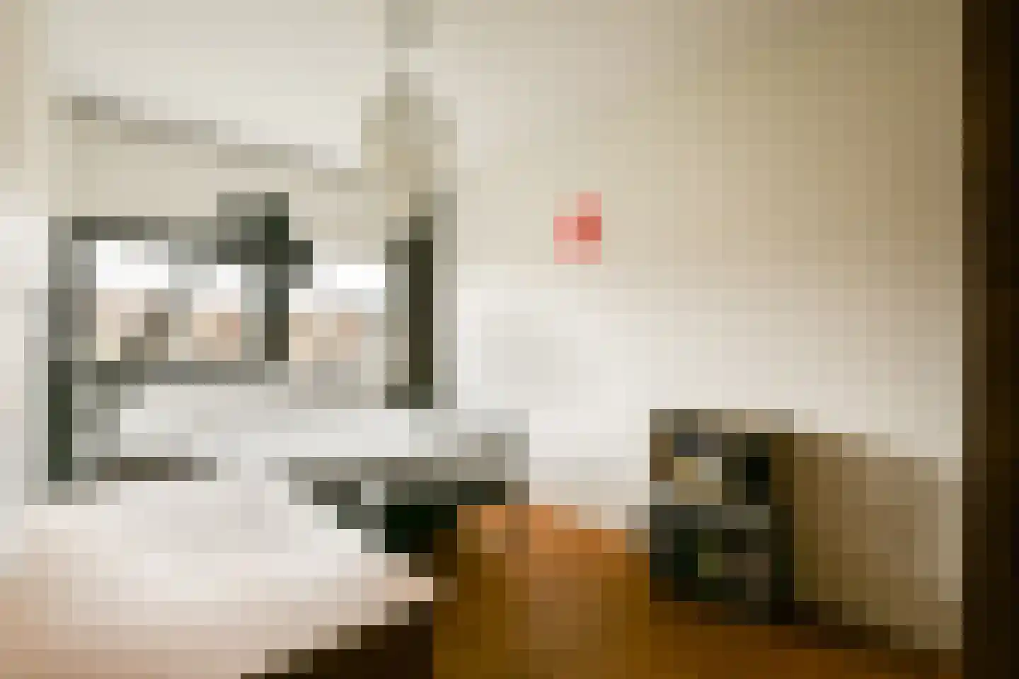 Jan Olphert Vaillantlaan 43 Amsterdam thumbnail 23
