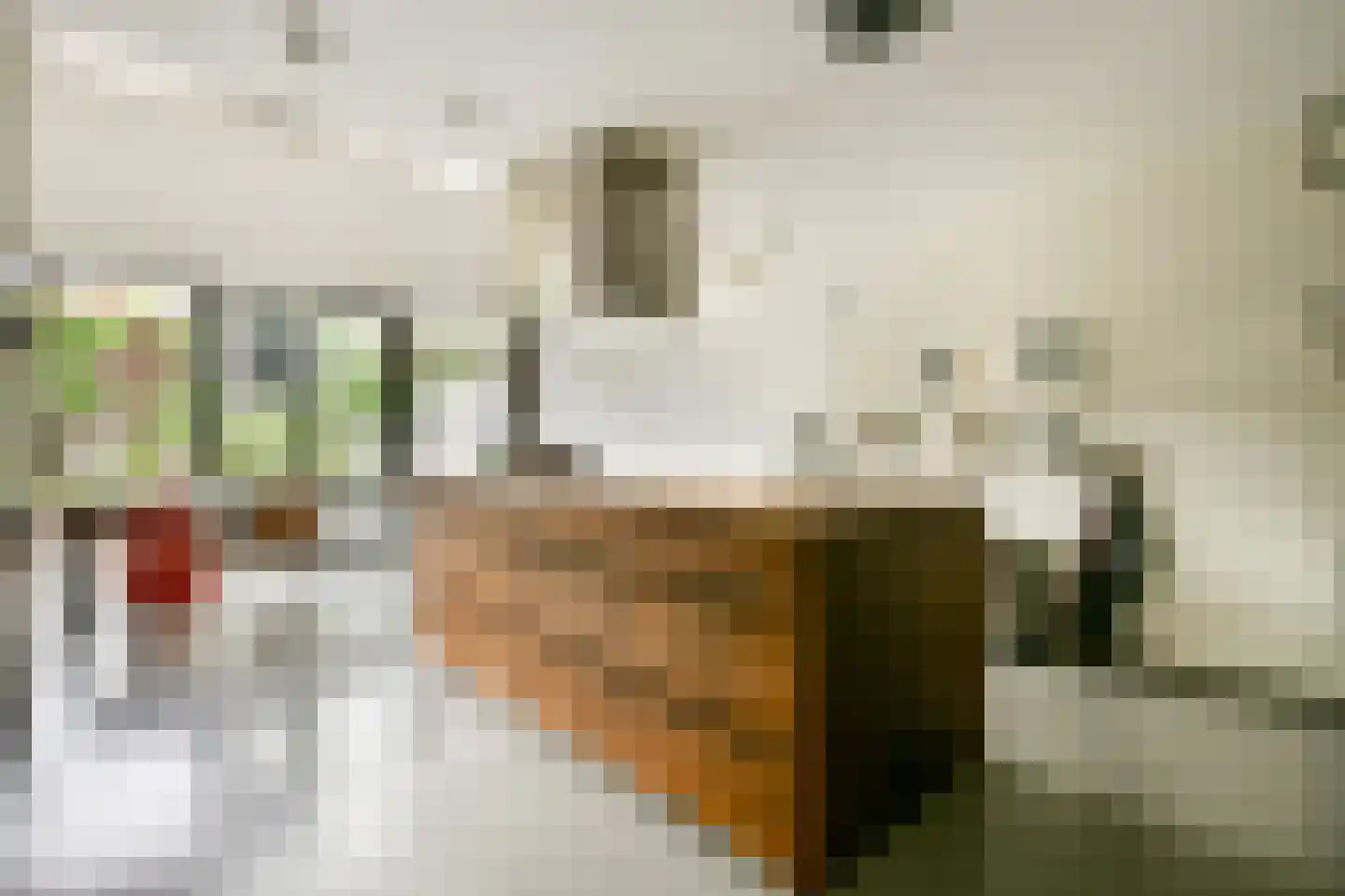 Jan Olphert Vaillantlaan 43 Amsterdam thumbnail 4