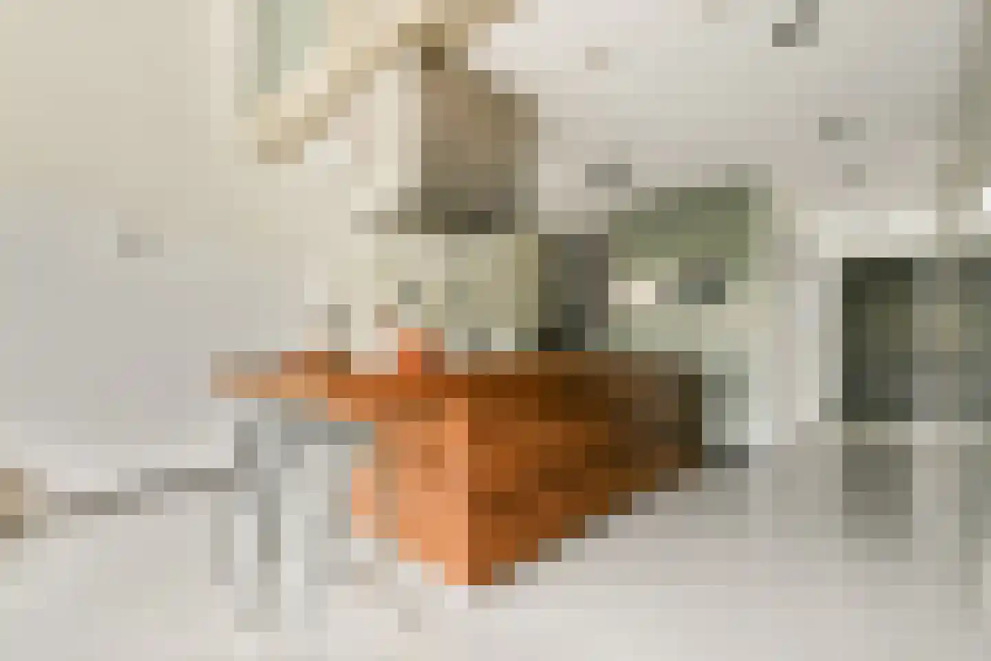 Jan Olphert Vaillantlaan 43 Amsterdam thumbnail 8
