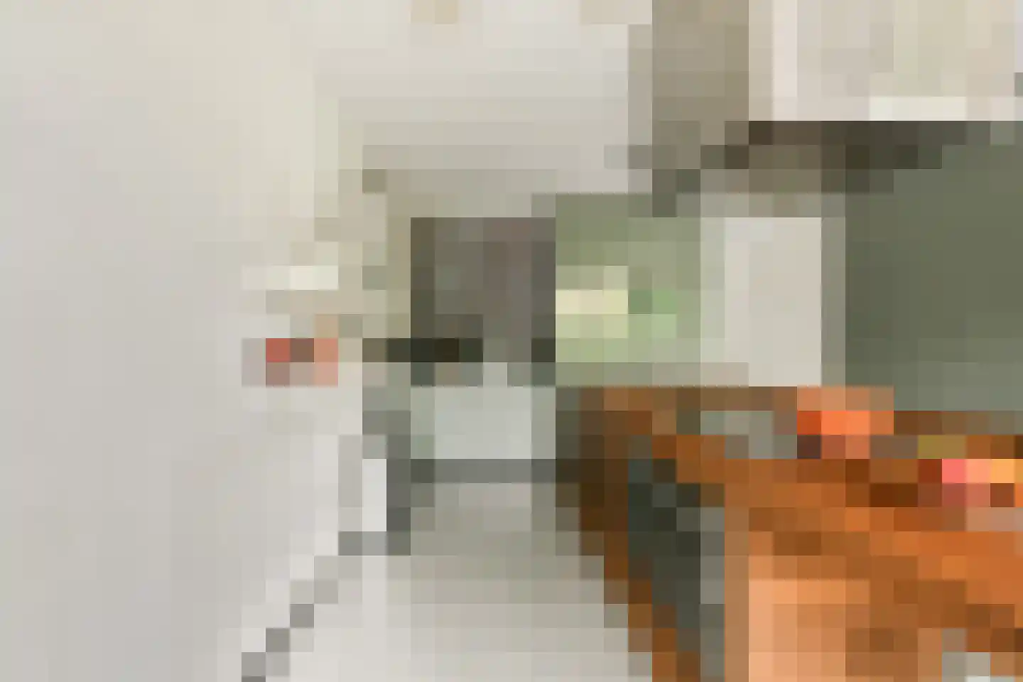 Jan Olphert Vaillantlaan 43 Amsterdam thumbnail 9