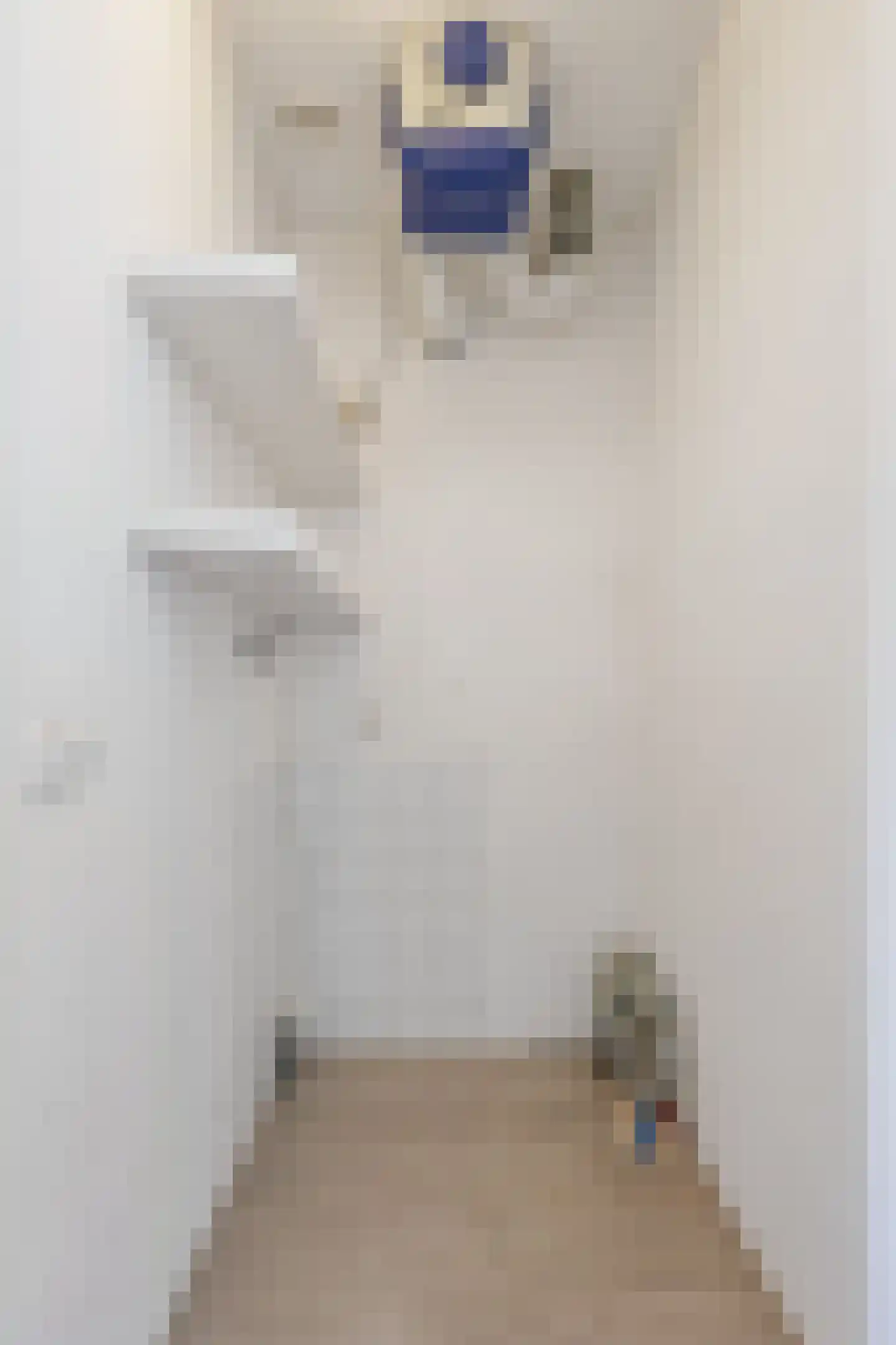 Jan Olphert Vaillantlaan 49 C Amsterdam thumbnail 20