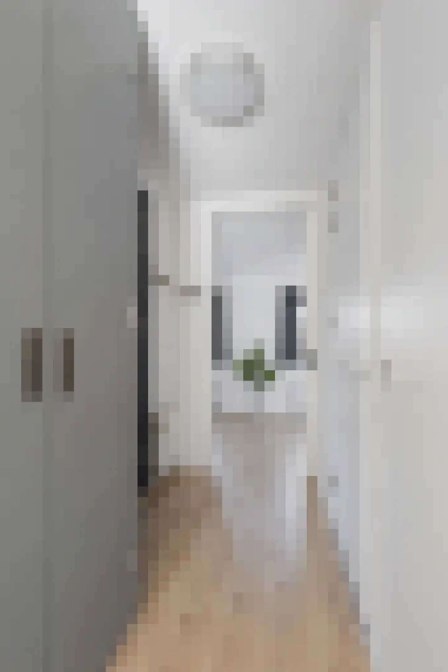 Jan Olphert Vaillantlaan 49 C Amsterdam thumbnail 21