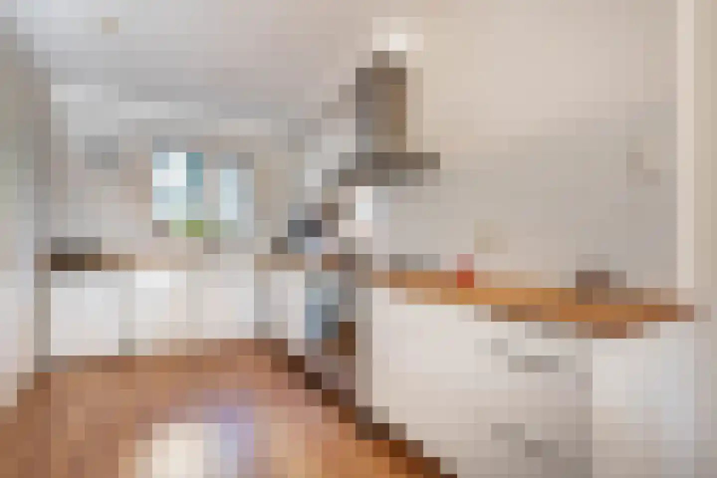 Jan Olphert Vaillantlaan 62 Amsterdam thumbnail 11