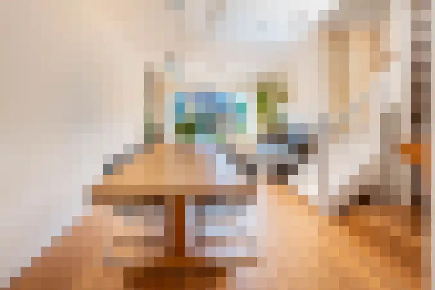 Jan Olphert Vaillantlaan 62 Amsterdam thumbnail 13
