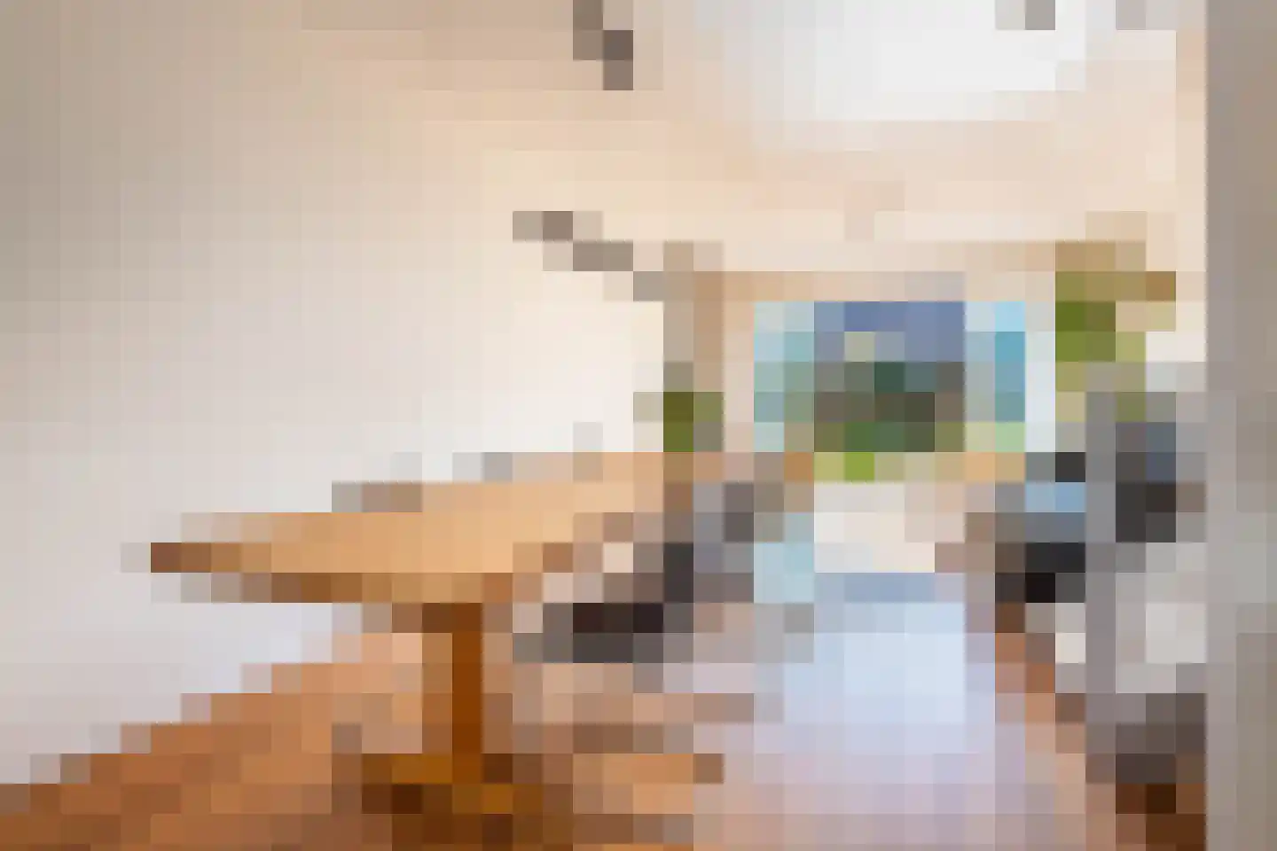 Jan Olphert Vaillantlaan 62 Amsterdam thumbnail 14